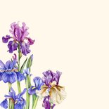 Verjaardagskaart lissebloemen aquarel 2
