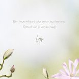 Verjaardagskaart magnolia bloemen en roodborst 3