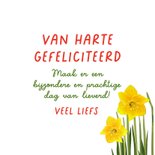 Verjaardagskaart met narcissen en lieveheersbeestjes 3