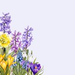 Verjaardagskaart mooie voorjaarsbloemen  2