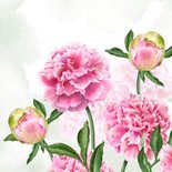 Verjaardagskaart pioenrozen in pastelroze 2