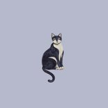 Verjaardagskaart poes in het raam in Parijs 2
