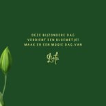 Verjaardagskaart rood-gele tulpen 3