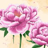 Verjaardagskaart roze pioenrozen 2