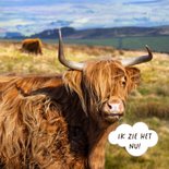 Verjaardagskaart Schotse hooglander  2