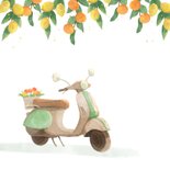 Verjaardagskaart scooter citrusvruchten zomers gefeliciteerd 2