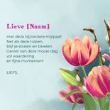 Verjaardagskaart tulpen roze-zalmkleurig 3