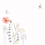 Verjaardagskaart veldbloemen vlinder bij en libelle 2