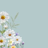 Verjaardagskaart voorjaarsbloemetjes Margrietjes 2