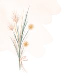 Verjaardagskaart waterverf droogbloemen voor de jarige 2