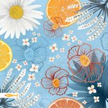 Verjaardagskaart zonnige zomer 2