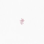 Vintage trouwkaart save the date met roze rozen Achterkant