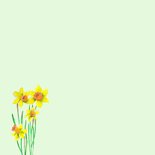 Vrolijk Pasen meisje narcissen 2