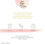 Vrolijke olifantjes op botanisch geboortekaartje zusje 2