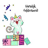 Vrolijke verjaardagskaart met kat met cadeau 2