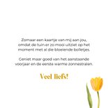 Vrolijke voorjaar wenskaart lieve groetjes tulp narcis 3