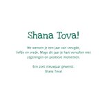 Wenskaart granaatappel illustratie Shana Tova foto 3