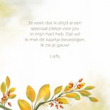 Wenskaart herfstimpressie met roodborstje 3