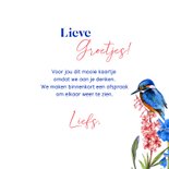 Wenskaart ijsvogels waterkant 3