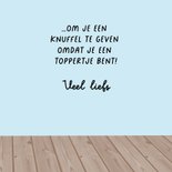 Wenskaart katten knuffels 3