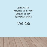 Wenskaart katten knuffels 3