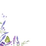 Wenskaart lavendel zomer 2