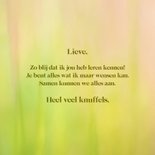 Wenskaart met parende vlinders 3