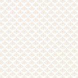 Wenskaart met spreuk 'believe you can' 2