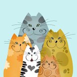 Wenskaart nieuwsgierige katten 2