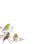 Wenskaart Opa en oma vogeltjes 2