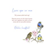 Wenskaart Opa en oma vogeltjes 3