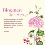 Wenskaart roze hortensia's in de tuin 3