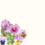 Wenskaart veel gekleurde viooltjes 2