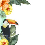 Wenskaart Zomaar tropische vogels 2