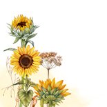 Wenskaart zonnebloemen vlinder 2