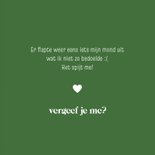 Wenskaartje sorry elfje 'ik meende het niet zo' 3