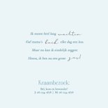 Winter geboortekaartje pinguïn een broertje lichtblauw 2