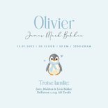 Winter geboortekaartje pinguïn een broertje lichtblauw 3