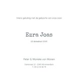 Winter geboortekaartje pinguins blauw met sneeuwvlokken 3