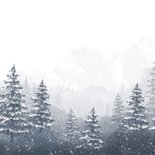 Winter geboortekaartje unisex landschap sneeuw bomen Achterkant