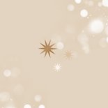 Zakelijke kerst en nieuwjaarskaart 2026 bedankt sterren Achterkant