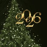 Zakelijke kerstkaart 2026 kerstboom lichtjes sterren logo 2