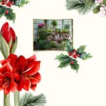 Zakelijke kerstkaart botanische amaryllis bloemen 2