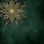 Zakelijke kerstkaart fijne feestdagen ster goud groen 2