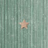 Zakelijke kerstkaart hout label sneeuw groen takje logo Achterkant