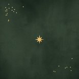 Zakelijke kerstkaart met sterren bedankt logo groen foto Achterkant