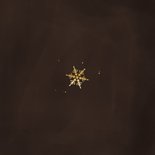 Zakelijke kerstkaart stijlvol gouden sneeuwvlokjes 2026 Achterkant