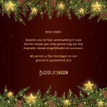 Zakelijke kersttakken met sterren 3