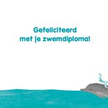 Zwemdiploma schildpad in de zee 3