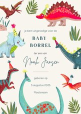 Babyborrel jongen met lieve dinosaurussen in dino land